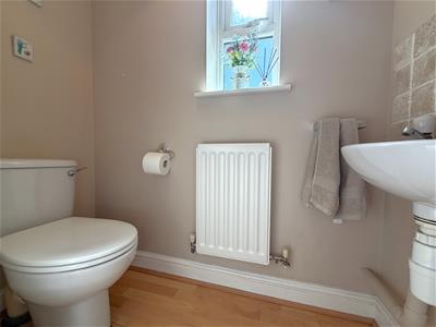Picture 5